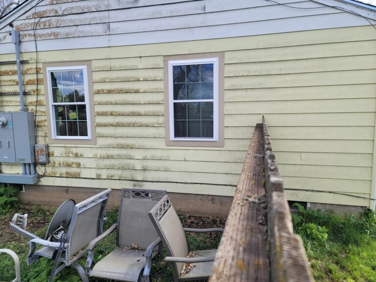 Exterior windows with white trim